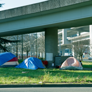 Image of a Homeless Encampment Under an Overpass